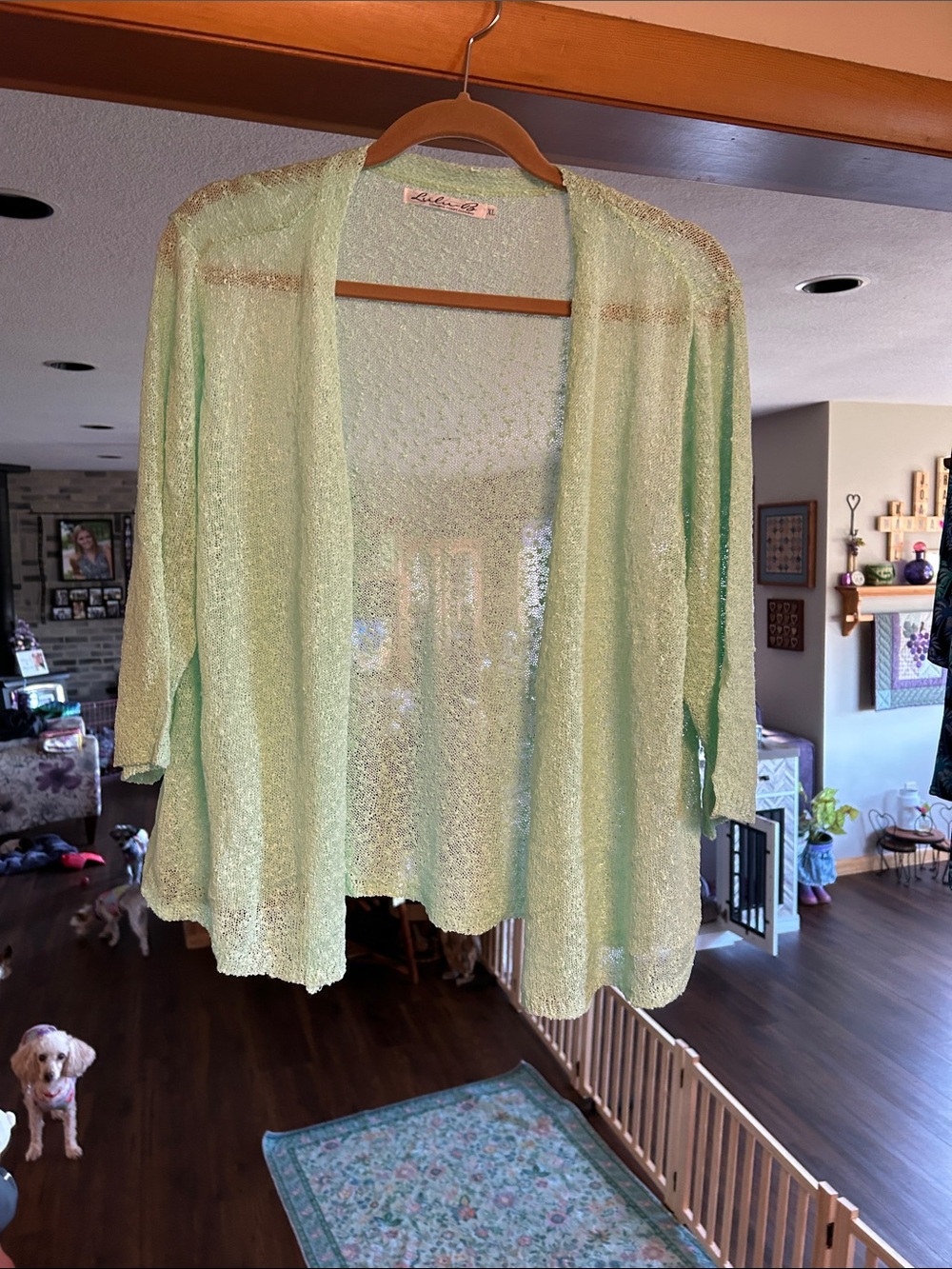 Lulu-B Mint Green Sheer Open Cardigan